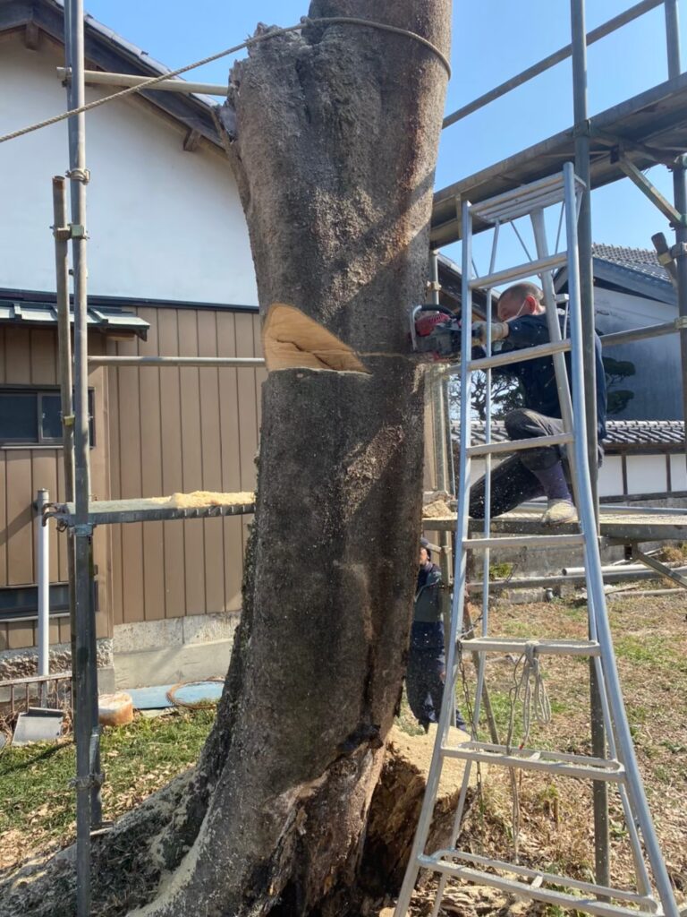 植栽,剪定,伐採